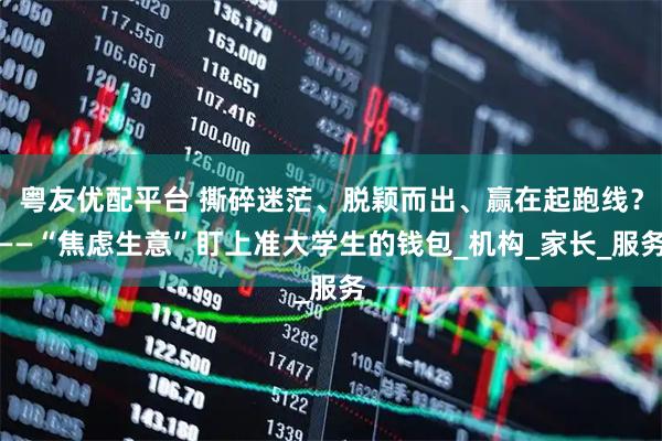 粤友优配平台 撕碎迷茫、脱颖而出、赢在起跑线？——“焦虑生意”盯上准大学生的钱包_机构_家长_服务
