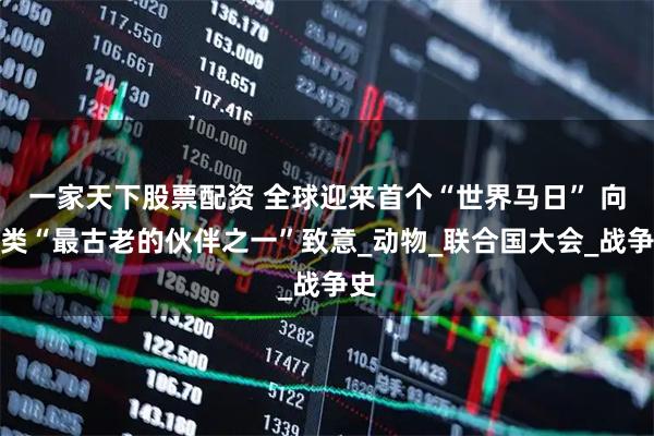 一家天下股票配资 全球迎来首个“世界马日” 向人类“最古老的伙伴之一”致意_动物_联合国大会_战争史