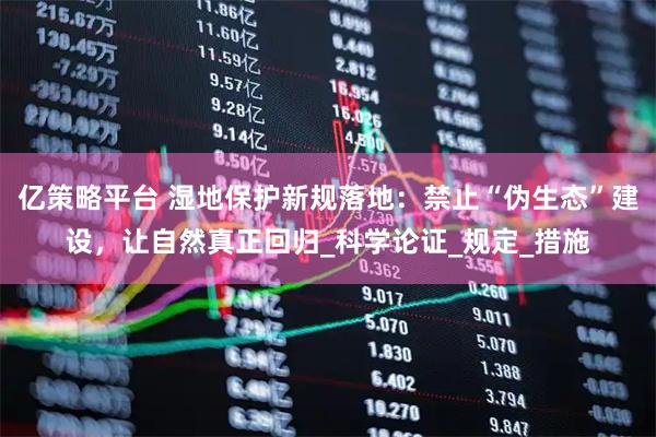 亿策略平台 湿地保护新规落地：禁止“伪生态”建设，让自然真正回归_科学论证_规定_措施