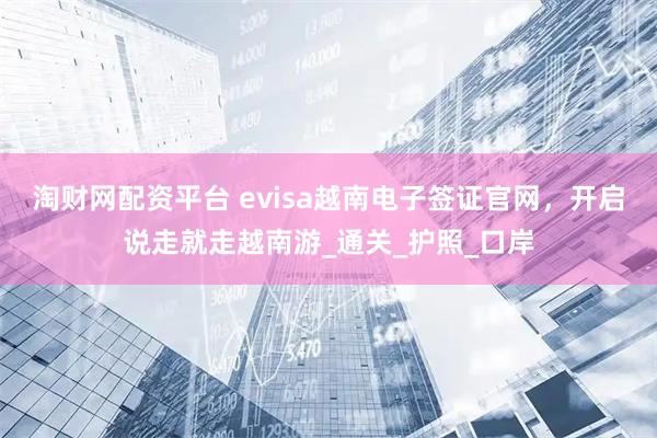 淘财网配资平台 evisa越南电子签证官网，开启说走就走越南游_通关_护照_口岸